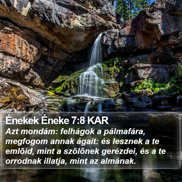 Énekek Éneke 7:8 KAR Bible Study