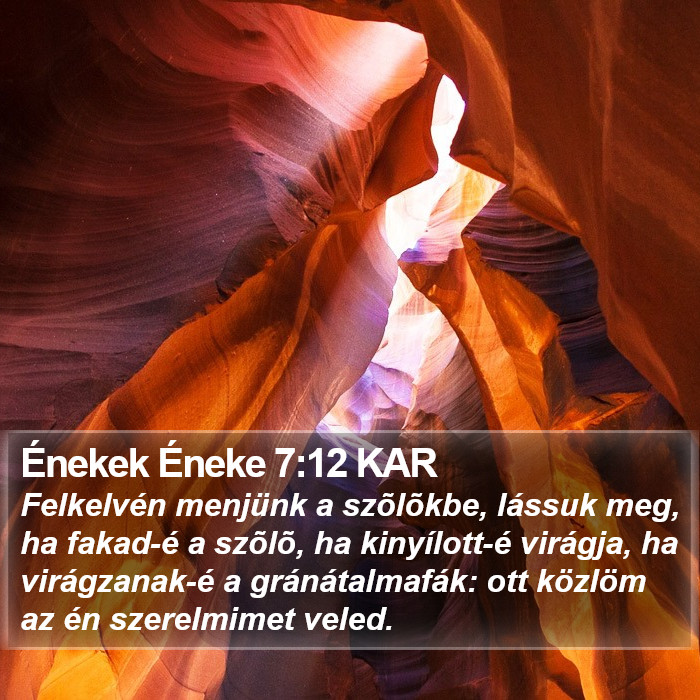 Énekek Éneke 7:12 KAR Bible Study