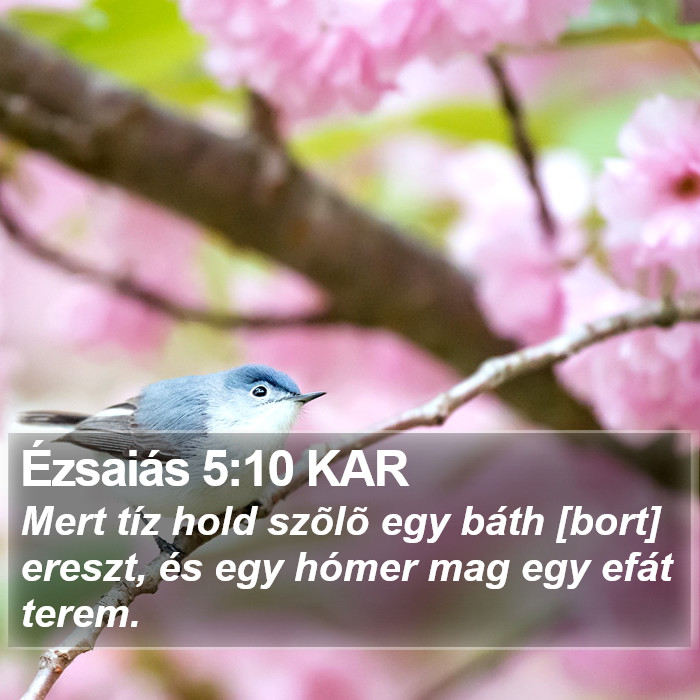 Ézsaiás 5:10 KAR Bible Study