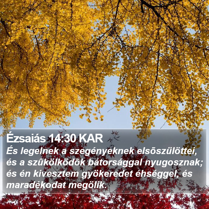 Ézsaiás 14:30 KAR Bible Study