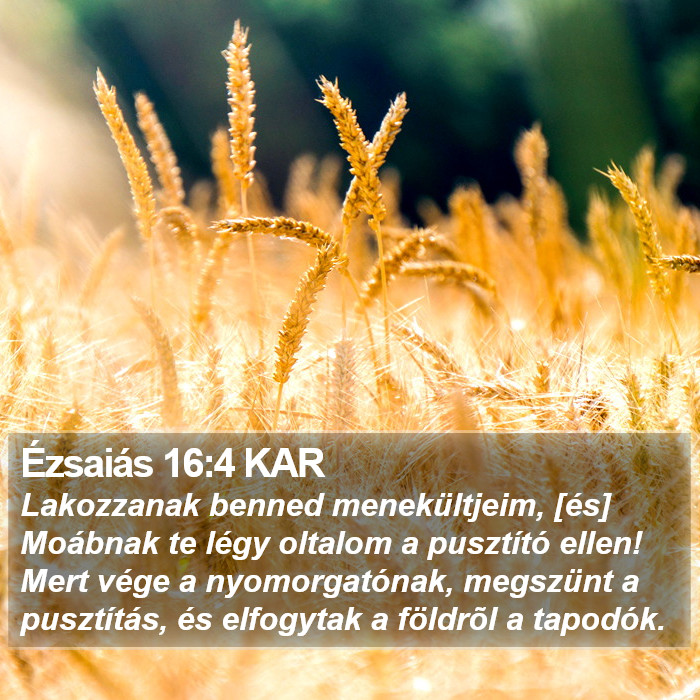 Ézsaiás 16:4 KAR Bible Study