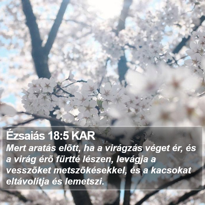 Ézsaiás 18:5 KAR Bible Study