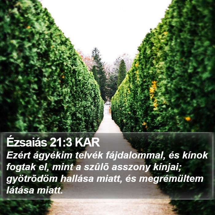 Ézsaiás 21:3 KAR Bible Study