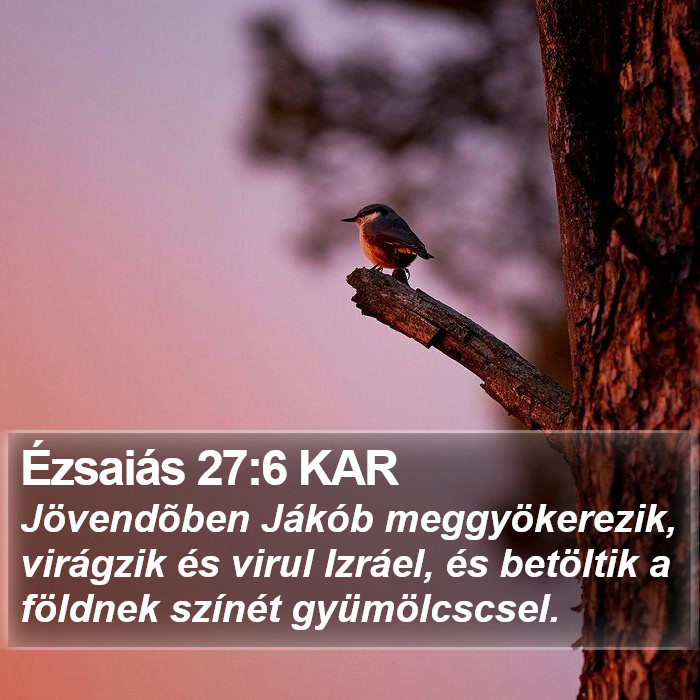 Ézsaiás 27:6 KAR Bible Study