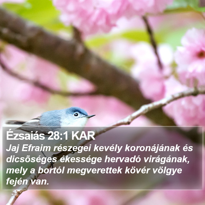 Ézsaiás 28:1 KAR Bible Study