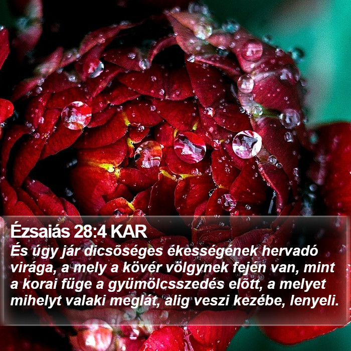 Ézsaiás 28:4 KAR Bible Study