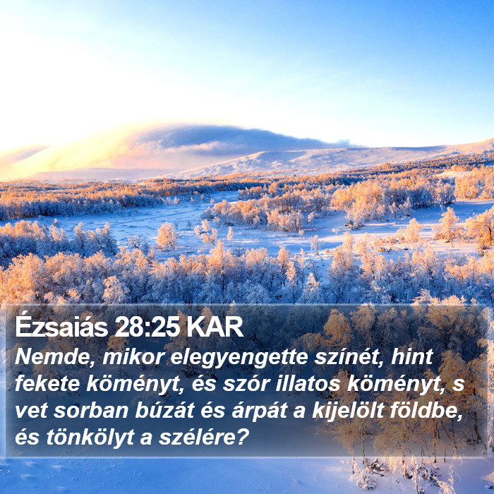 Ézsaiás 28:25 KAR Bible Study