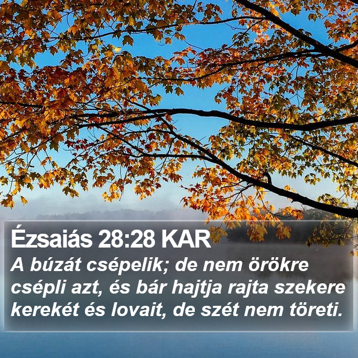 Ézsaiás 28:28 KAR Bible Study