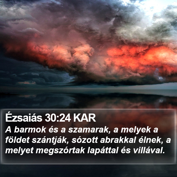 Ézsaiás 30:24 KAR Bible Study