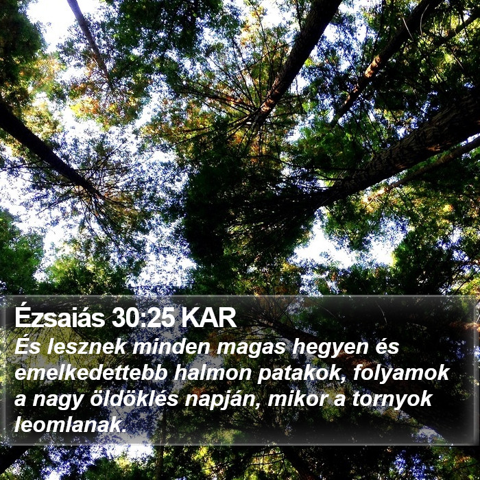 Ézsaiás 30:25 KAR Bible Study