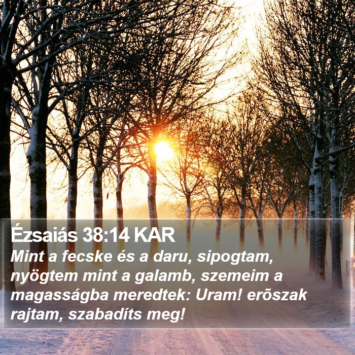 Ézsaiás 38:14 KAR Bible Study