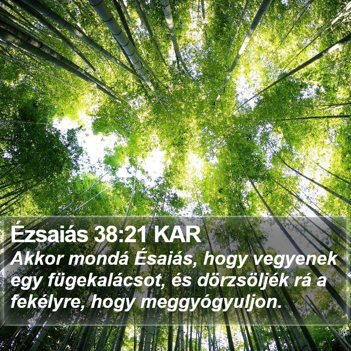 Ézsaiás 38:21 KAR Bible Study