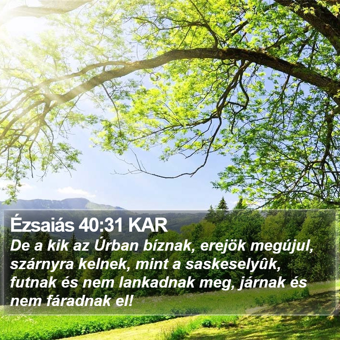 Ézsaiás 40:31 KAR Bible Study