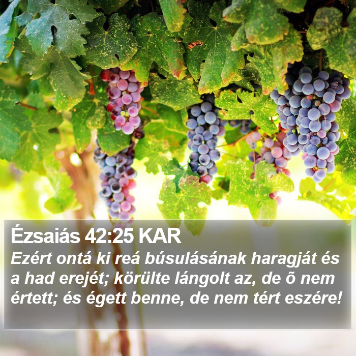 Ézsaiás 42:25 KAR Bible Study