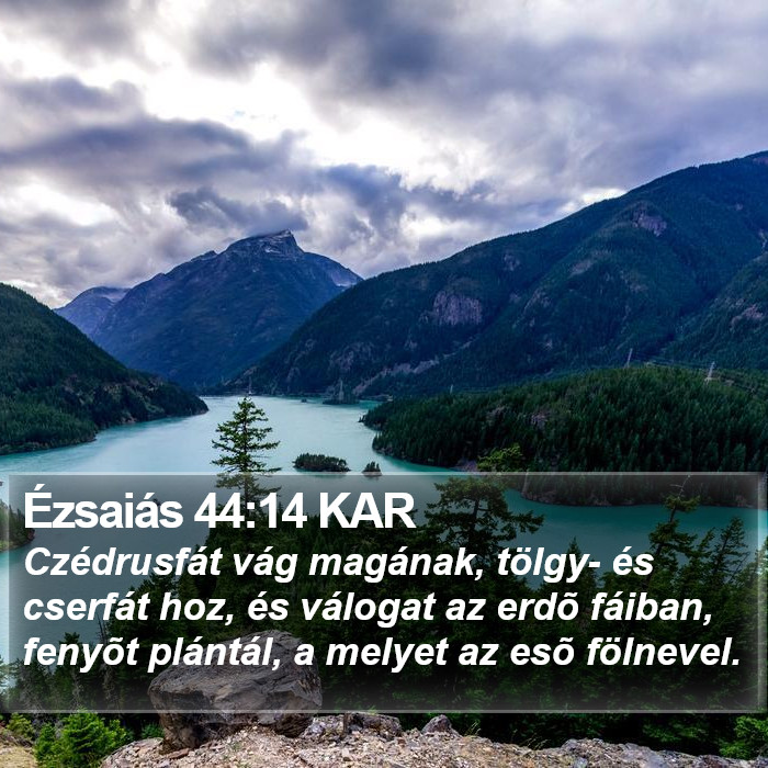 Ézsaiás 44:14 KAR Bible Study