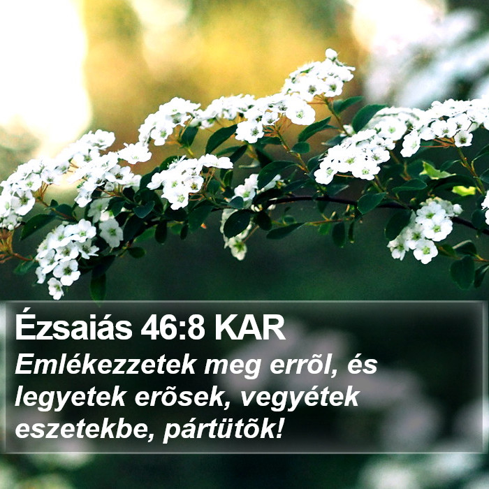 Ézsaiás 46:8 KAR Bible Study