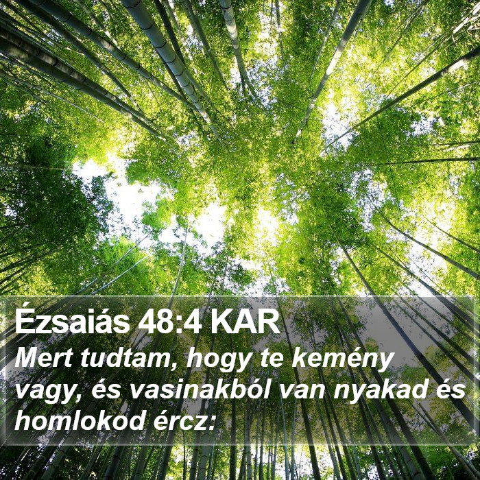 Ézsaiás 48:4 KAR Bible Study