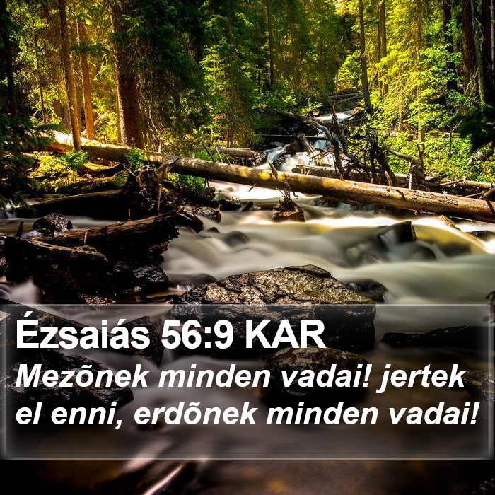 Ézsaiás 56:9 KAR Bible Study