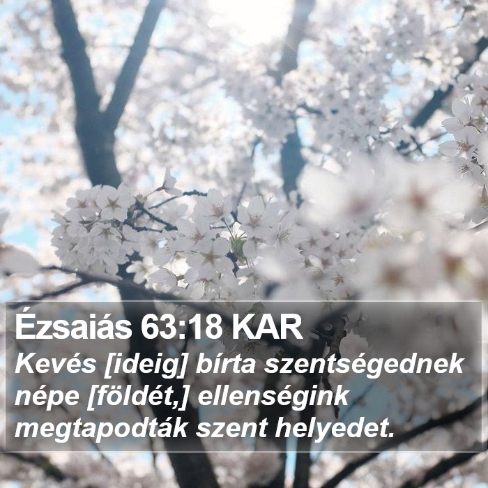 Ézsaiás 63:18 KAR Bible Study