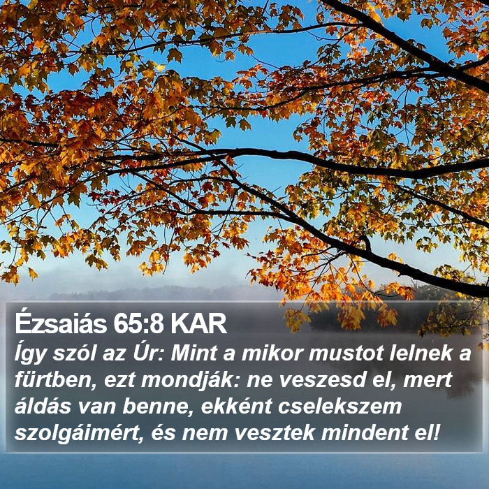 Ézsaiás 65:8 KAR Bible Study