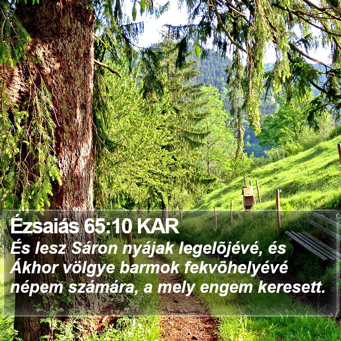 Ézsaiás 65:10 KAR Bible Study