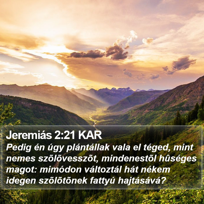Jeremiás 2:21 KAR Bible Study