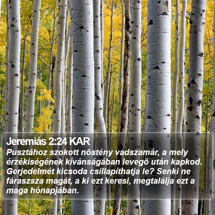 Jeremiás 2:24 KAR Bible Study