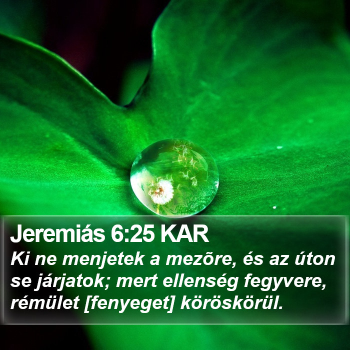 Jeremiás 6:25 KAR Bible Study