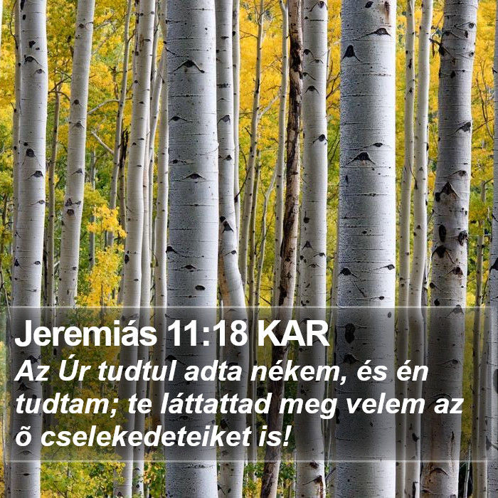 Jeremiás 11:18 KAR Bible Study