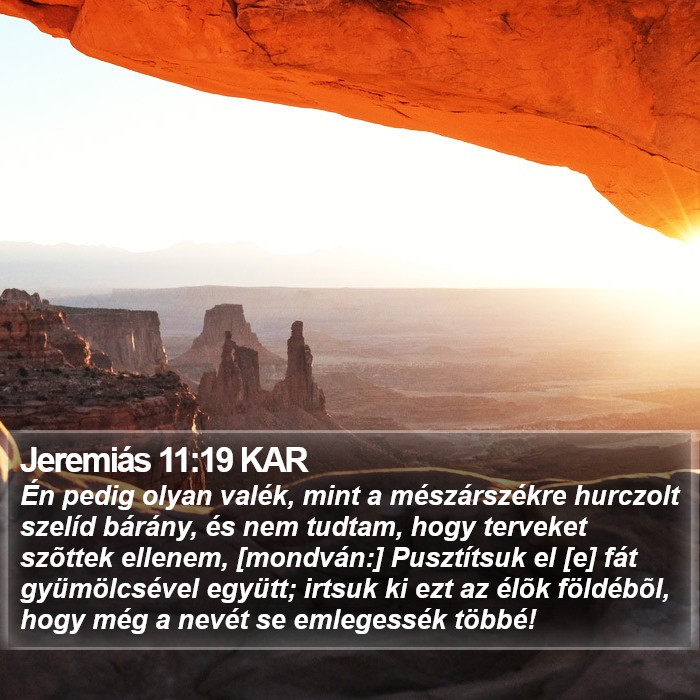 Jeremiás 11:19 KAR Bible Study