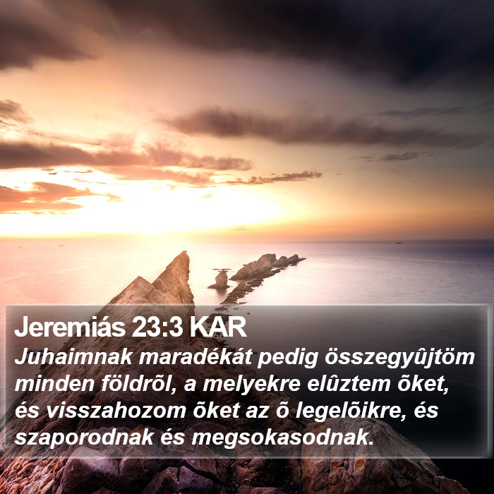 Jeremiás 23:3 KAR Bible Study