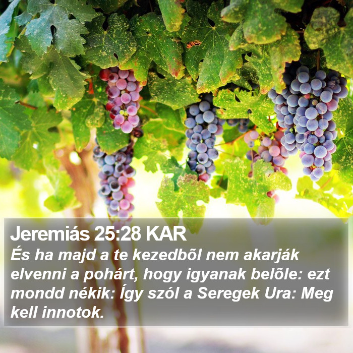 Jeremiás 25:28 KAR Bible Study