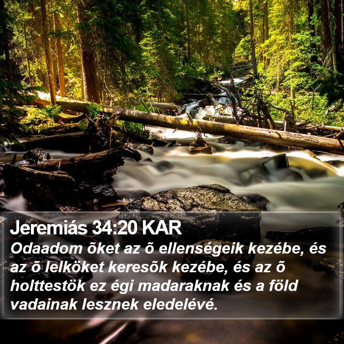 Jeremiás 34:20 KAR Bible Study