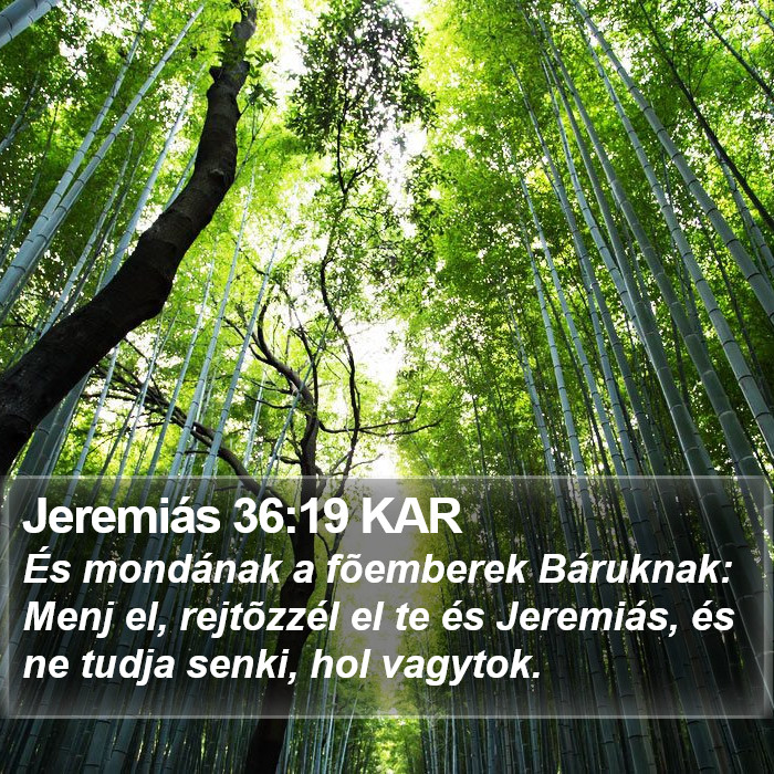 Jeremiás 36:19 KAR Bible Study