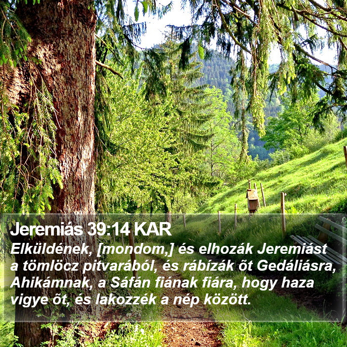 Jeremiás 39:14 KAR Bible Study