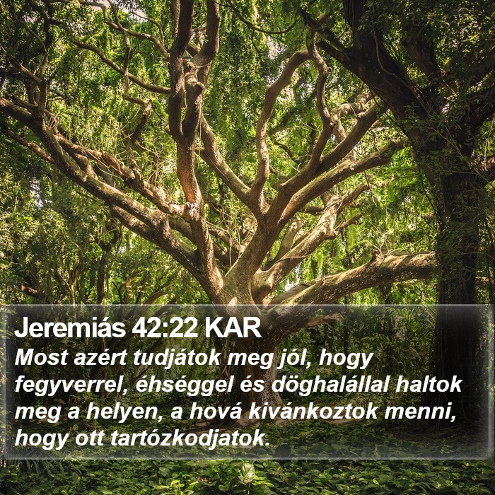 Jeremiás 42:22 KAR Bible Study