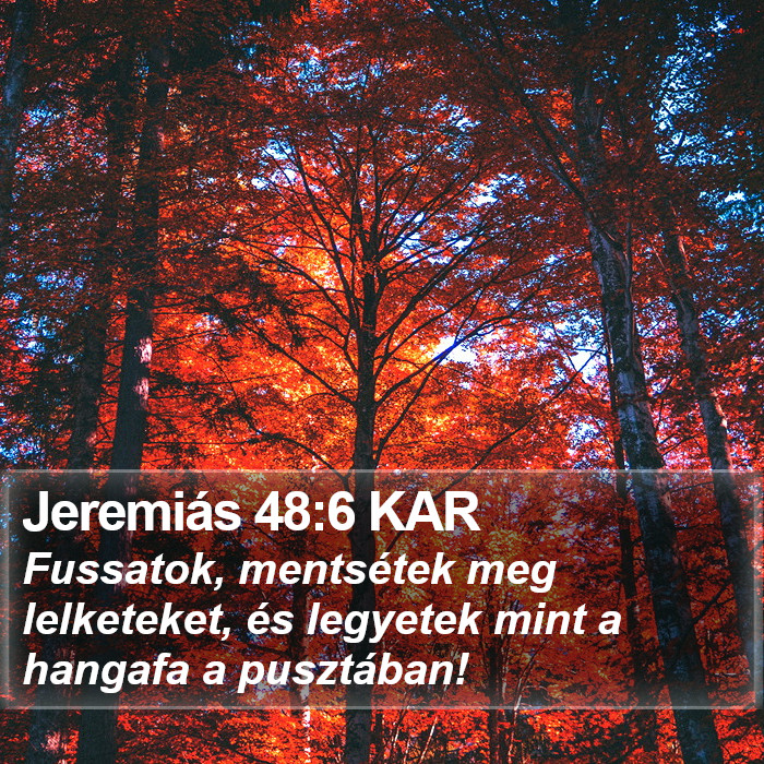 Jeremiás 48:6 KAR Bible Study