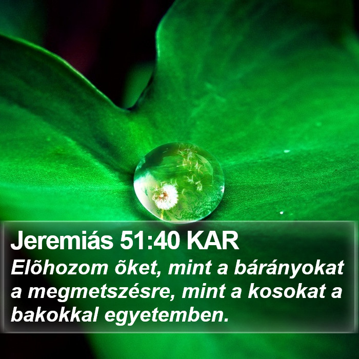 Jeremiás 51:40 KAR Bible Study