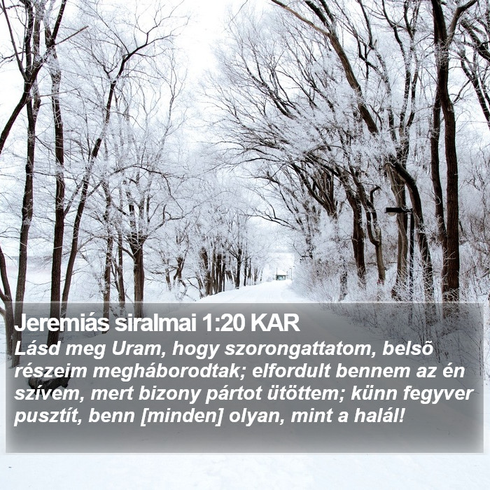 Jeremiás siralmai 1:20 KAR Bible Study