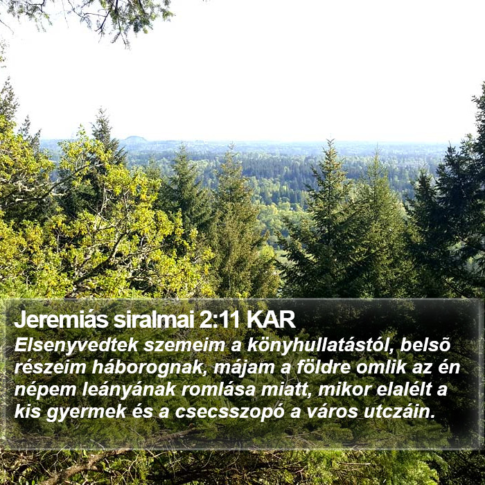 Jeremiás siralmai 2:11 KAR Bible Study