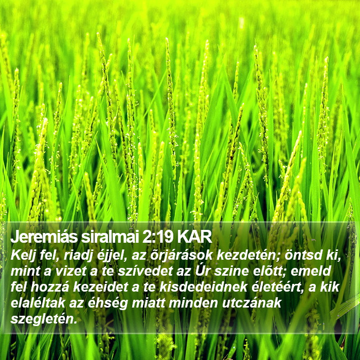 Jeremiás siralmai 2:19 KAR Bible Study