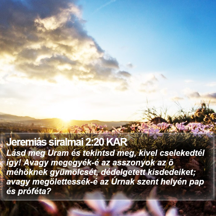 Jeremiás siralmai 2:20 KAR Bible Study