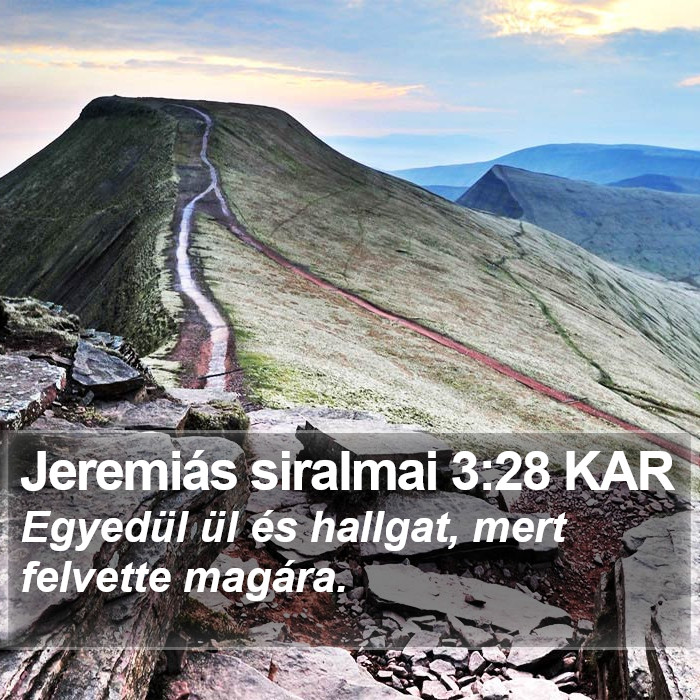 Jeremiás siralmai 3:28 KAR Bible Study