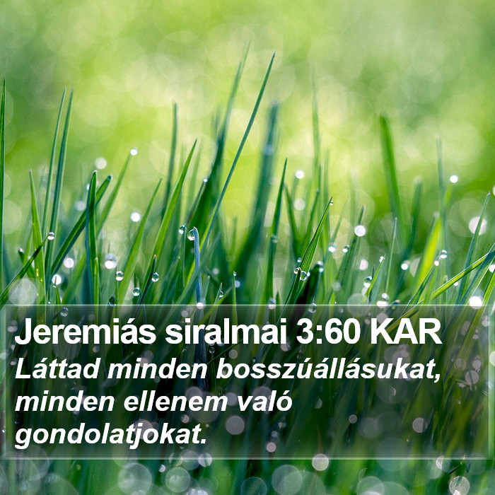 Jeremiás siralmai 3:60 KAR Bible Study