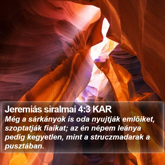 Jeremiás siralmai 4:3 KAR Bible Study