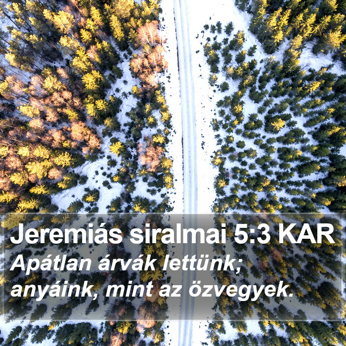 Jeremiás siralmai 5:3 KAR Bible Study