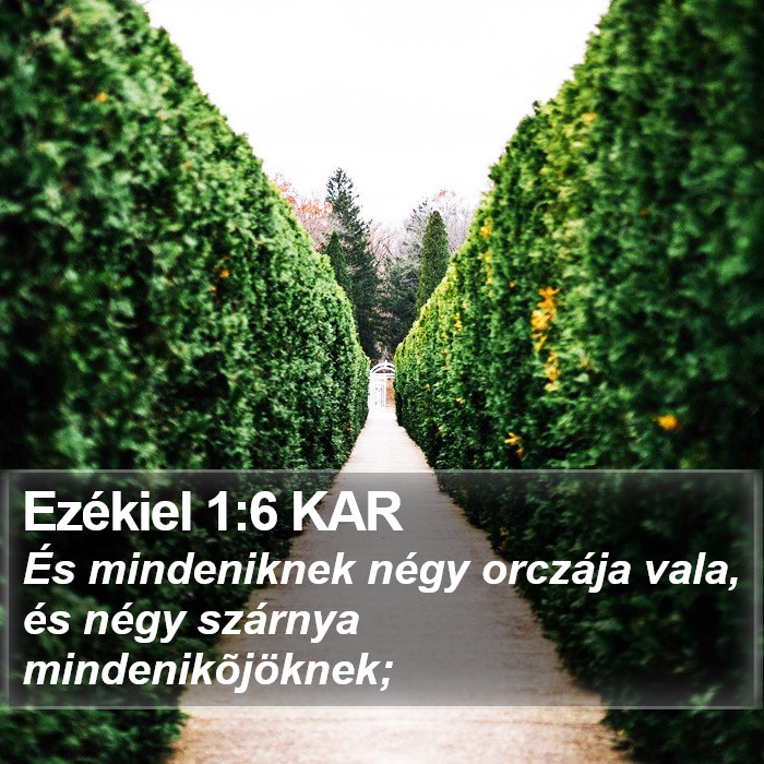 Ezékiel 1:6 KAR Bible Study