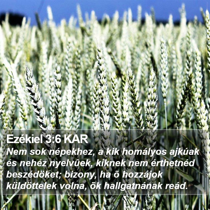 Ezékiel 3:6 KAR Bible Study