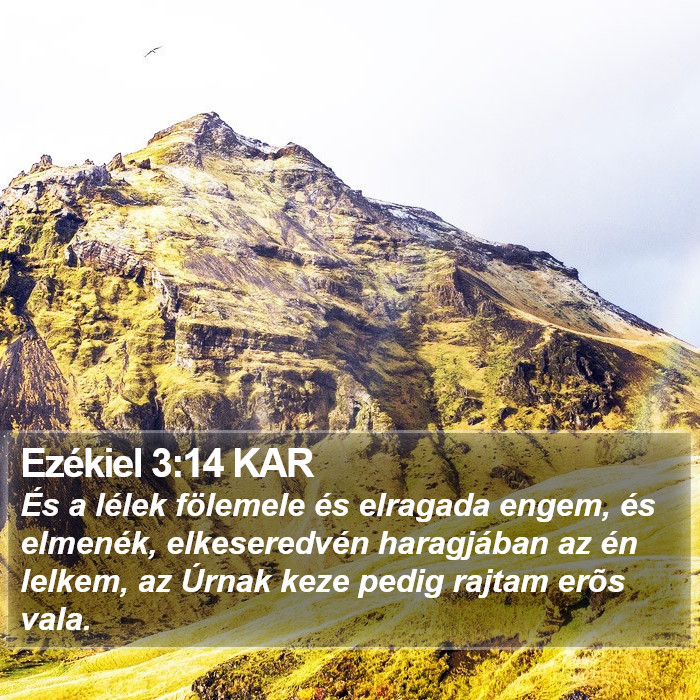 Ezékiel 3:14 KAR Bible Study