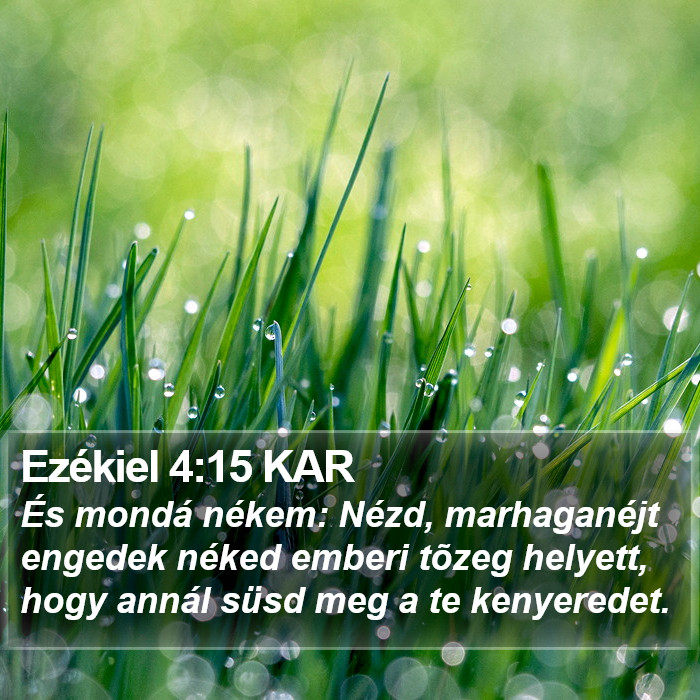 Ezékiel 4:15 KAR Bible Study